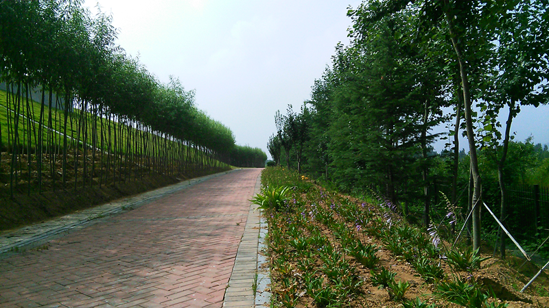 濟(jì)南市第三生活垃圾無害化處理廠填埋場(chǎng)景觀綠化工程第一標(biāo)